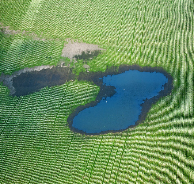 Полигон белая лужа карта