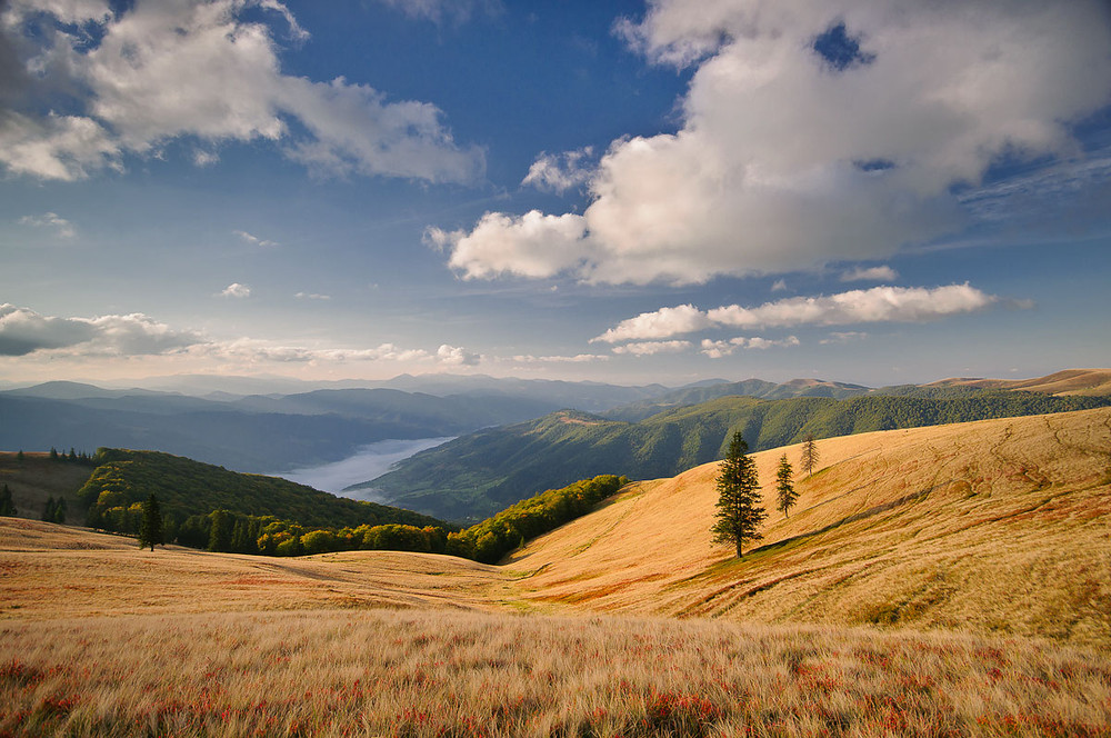 Карпаты Полонина