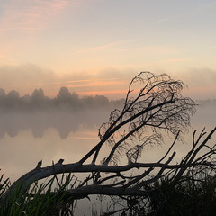 осінній ранок