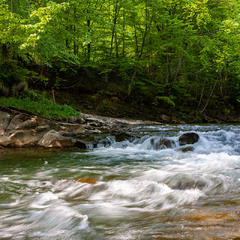 Рідні Карпати