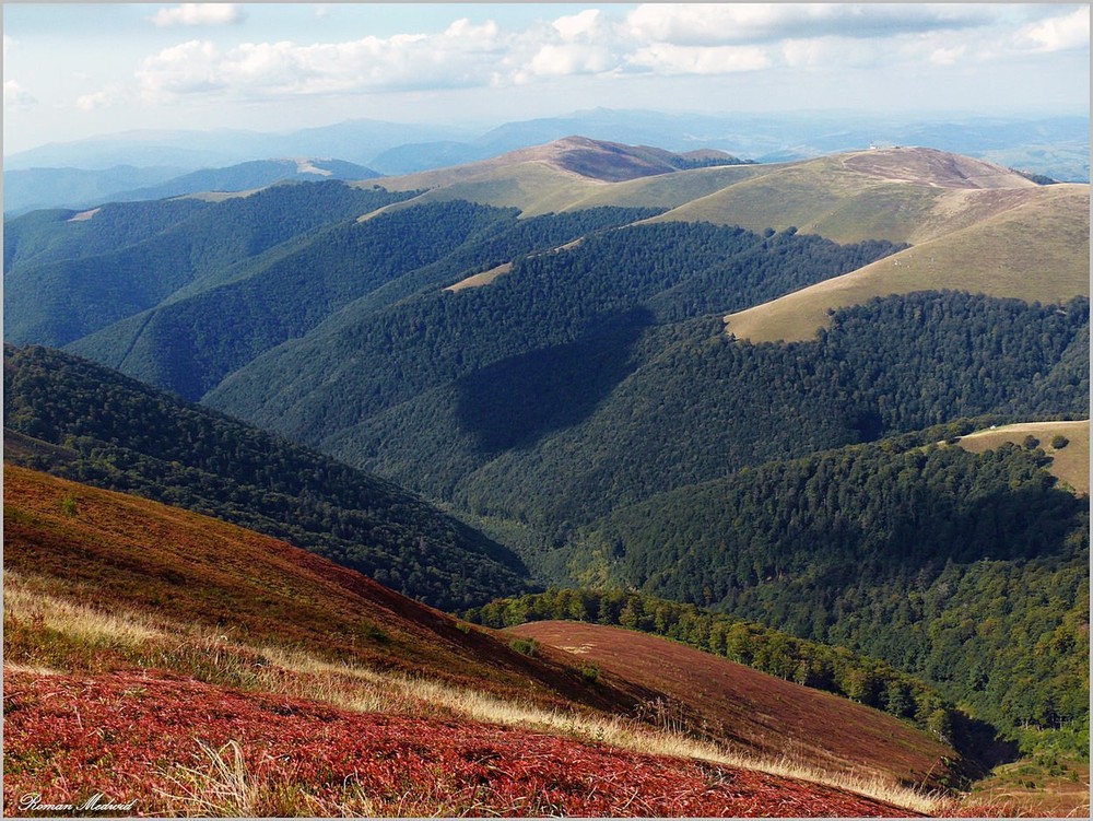 Горы Карпаты панорама