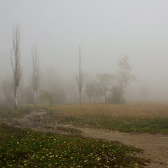 Осенней дорогой в туман...