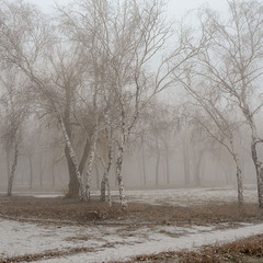 Зимний уголок в тумане...