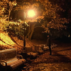 Осень,ночь,фонарь