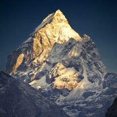 Гималайское золото