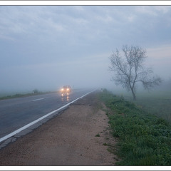 По дороге с туманом 1