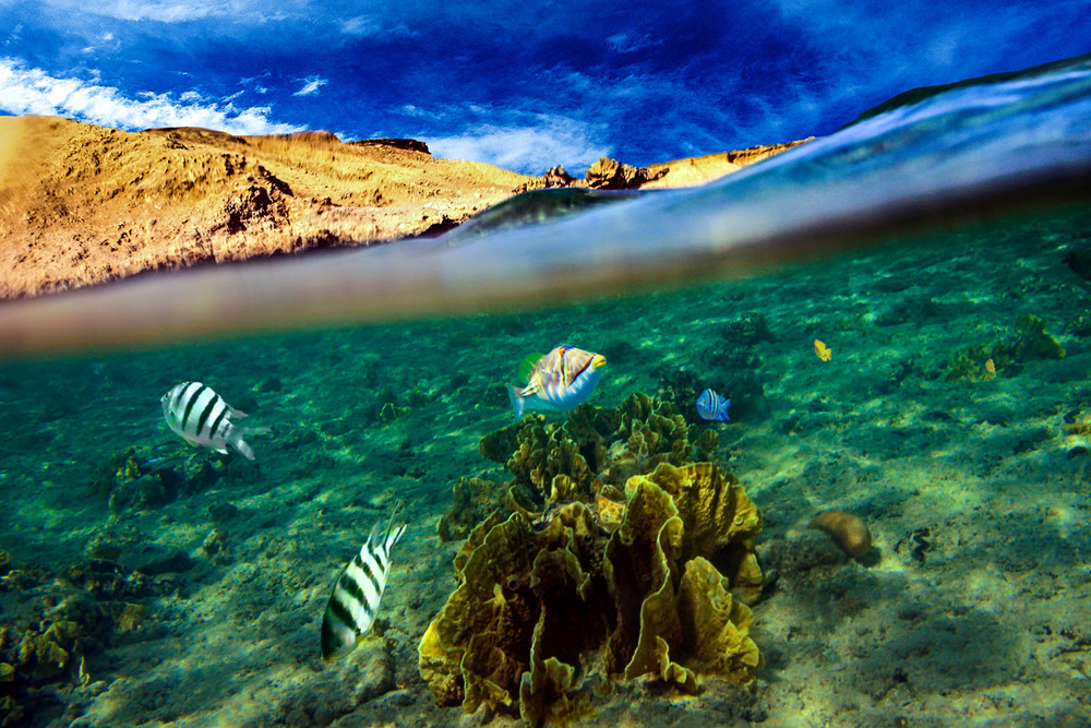 Красное море фото под водой в египте