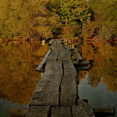 А мостик мчит всё глубже в осень...