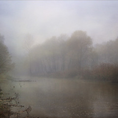 Проснулся у реки туман
