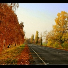 Дорога в осень...