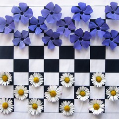 Flowery Draughts
