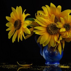 Sunflowers tears. Сльози соняхів