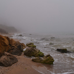 Misty Sea