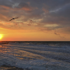 Бурхливе море на сході сонця