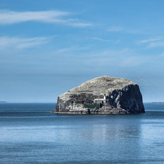 Каменный остров