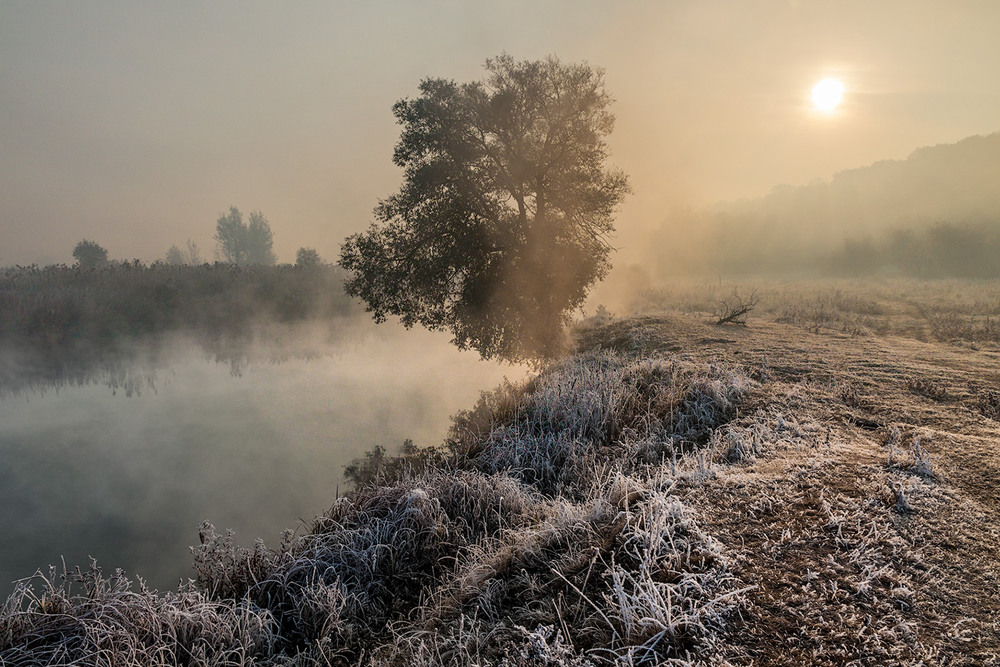 утро 14 октября. прекрасное утро осень шайгово лес. утро 14 октября. утро 14 октября. ноябрь иней в деревне.