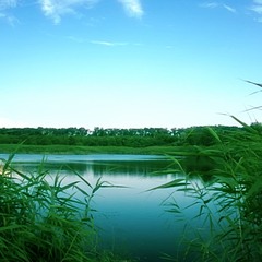 Тихое озеро