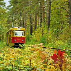 Осенний трамвайчик