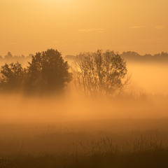 ті що тонуть в туманах...