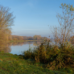 осінній Басівкут