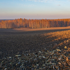 золота пора...