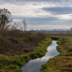 пізня осінь...