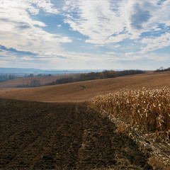 осінь за селом...