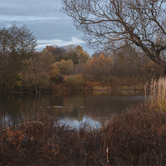 пізня осінь