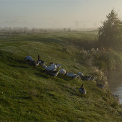 ранкові історії...