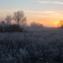 таїнство світанку...