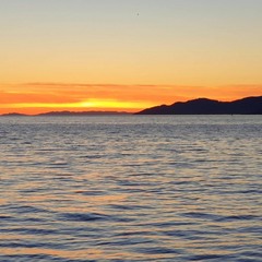 І на скелі ростуть дерева.