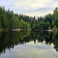 Вiдображення.