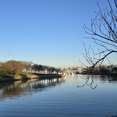 Міська замальовка.