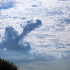 Облако-верблюд.