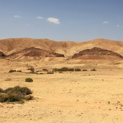Пустыня Негев.