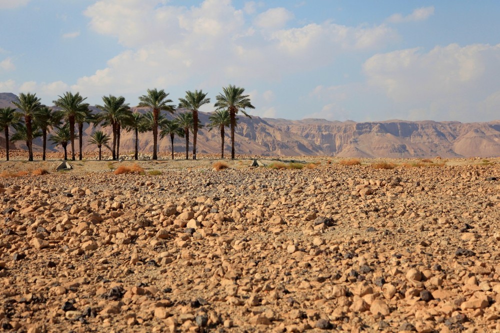 Desert country. Сахара Оазис. Сахара Ливия. Ливия пустыни. Ливийская Западная пустыня.