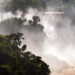 Iguassu Falls.