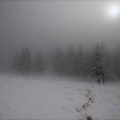 Пейзажист в тумане