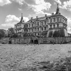 Підгорецький замок (3)