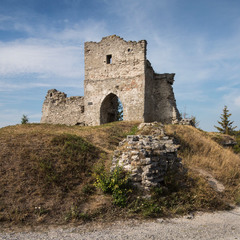 Замки Тернопільщини (5)
