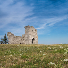 Замки Тернопільщини (6)