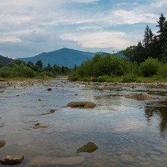 Карпатські річки (6)