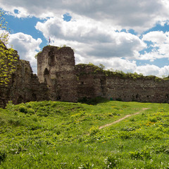 Замки Тернопільщини (4)