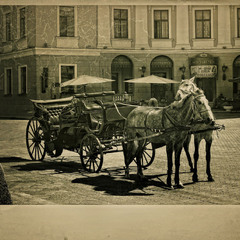 а в Одесі на Приморському бульварі.... коні