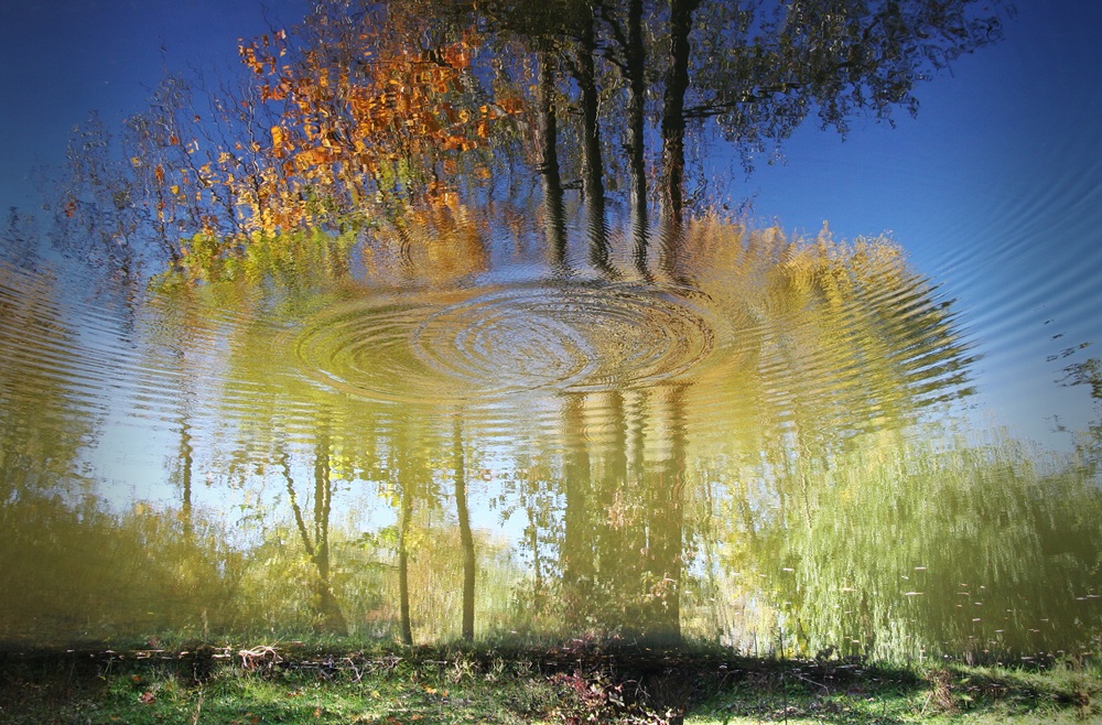 Отражение Осени В Воде Фото