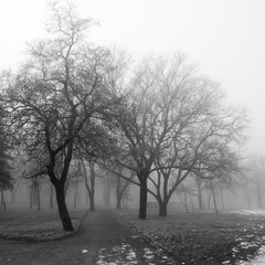 Два пути в туман
