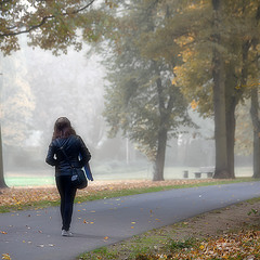 Утренняя прогулка по туманному парку
