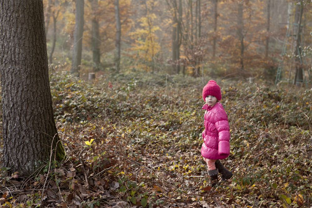 Включи девочку в лесу. Девочка заблудилась в лесу. Девочка потерялась в лесу. Маленькая девочка потерялась в лесу. Заблудилась в лесу красная шапочка.