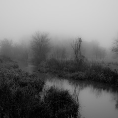 Туман и тишина