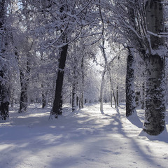 Зимы прекрасные мгновенья...